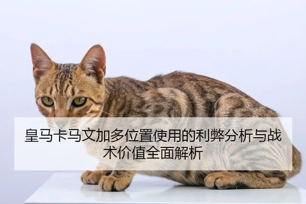 皇马卡马文加多位置使用的利弊分析与战术价值全面解析