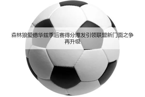 森林狼爱德华兹季后赛得分爆发引领联盟新门面之争再升级 | aoko